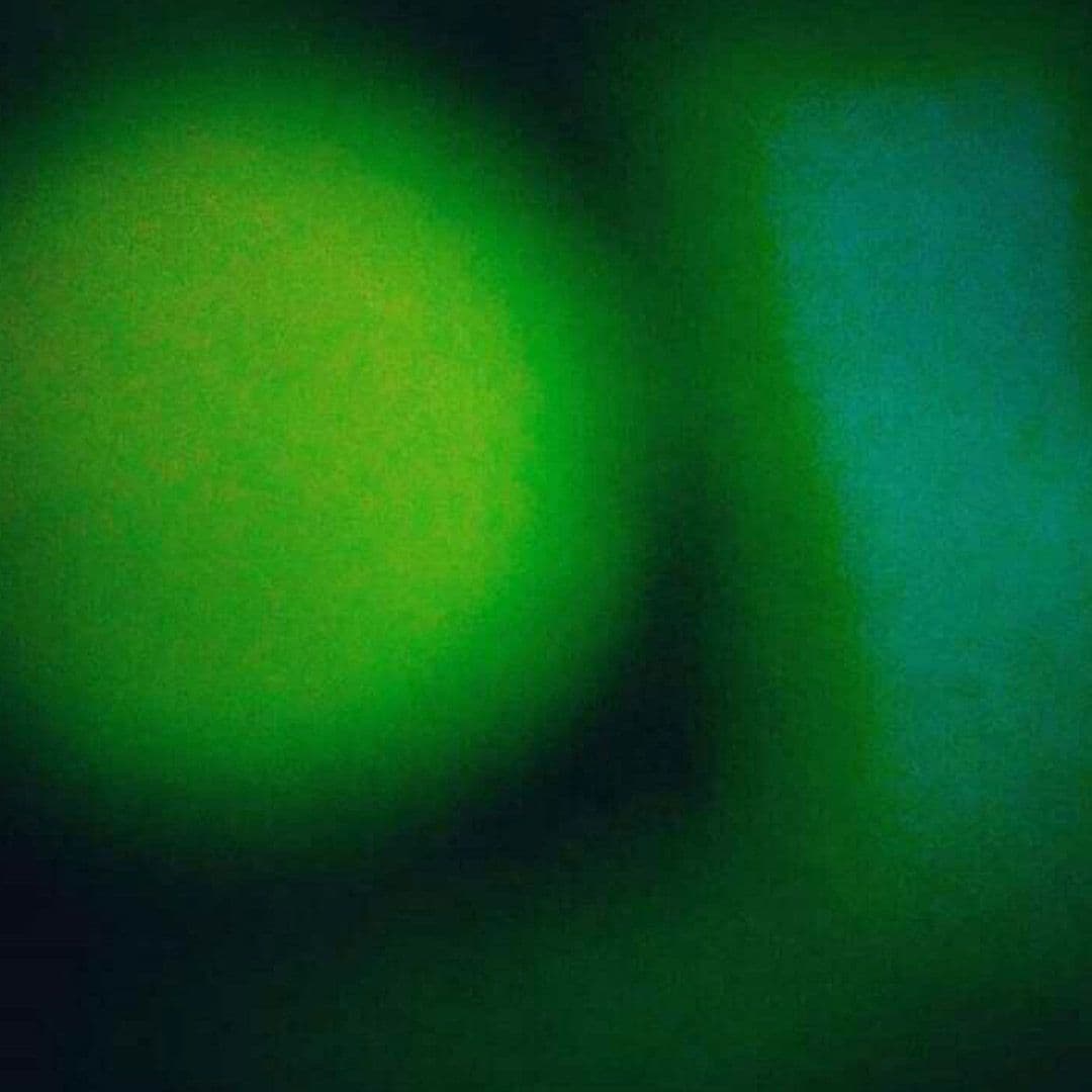 006=Le printemps, 2016_The spring, 2016.jpg
