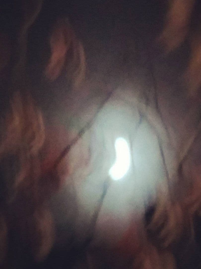 012=Le ver de lune, 2017_The moon worm, 2017.jpg