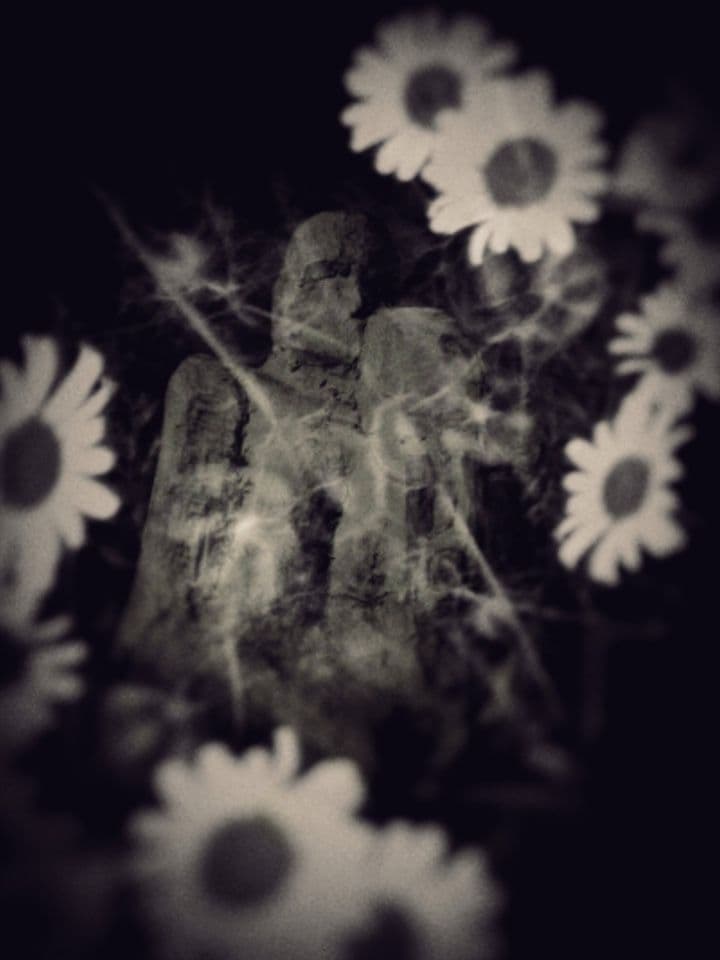 003= L’amour fou, 2017_Crazy Love, 2017.jpg