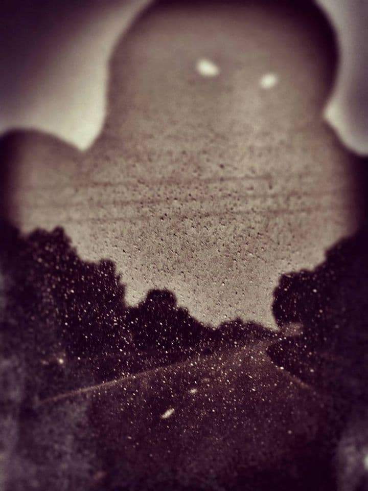 003=La menace, 2017_The Threat, 2017.jpg