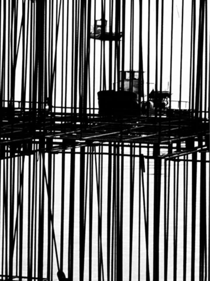 004=Les cages, 2018_The Cages, 2018.jpg