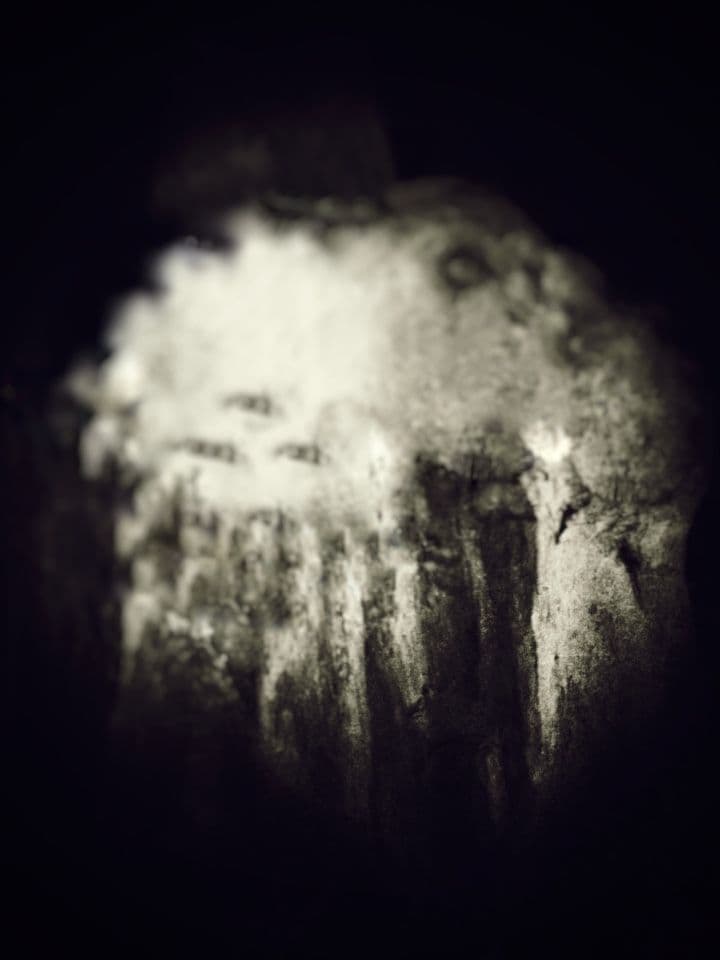 006=Elle aimait les graminées, 2017_She loved grasses, 2017.jpg