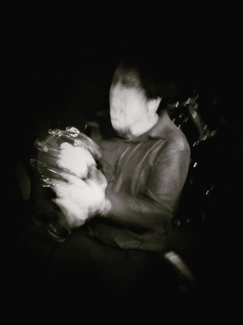 009=Le chanteur, The Norvins, 2017_The singer, The Norvins, 2017.jpg