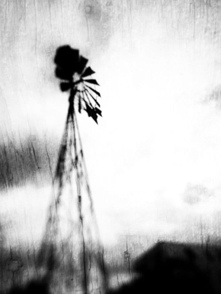 008=Don Quichotte, 2019_Don Quichotte, 2019.jpg