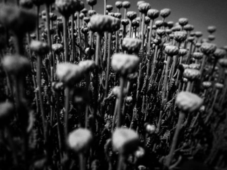 009=Le secret, 2023_The Secret, 2023.jpg