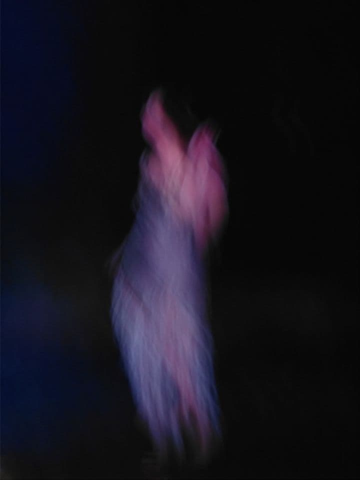 010=La dernière danse, 2018_The last dance, 2018.jpg