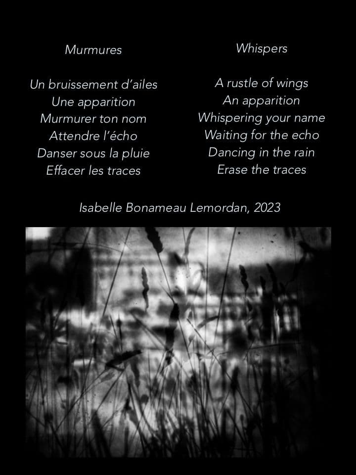 011=Murmures, poème, 2023_Whispers, poem, 2023.jpg