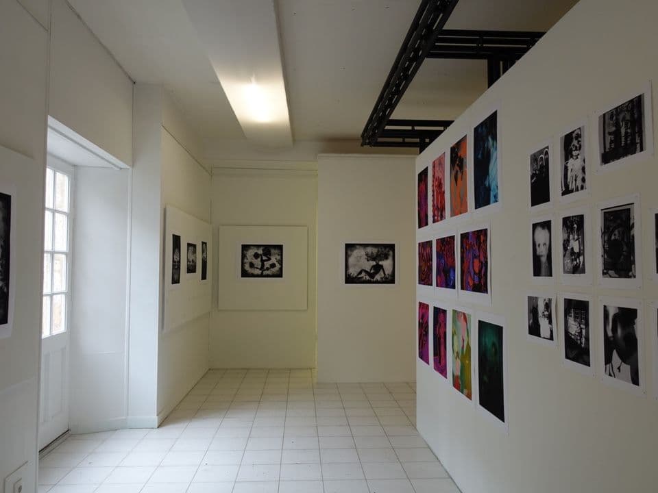 102=Exposition Arborescence, Festival L’émoi photographique, Hôtel Saint Simon, Angoulême, 2023_Exhibition Arborescence, Festival L’émoi photographique, Hôtel Saint Simon, Angoulême, 2023.jpg